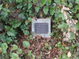 image of grave number 931262